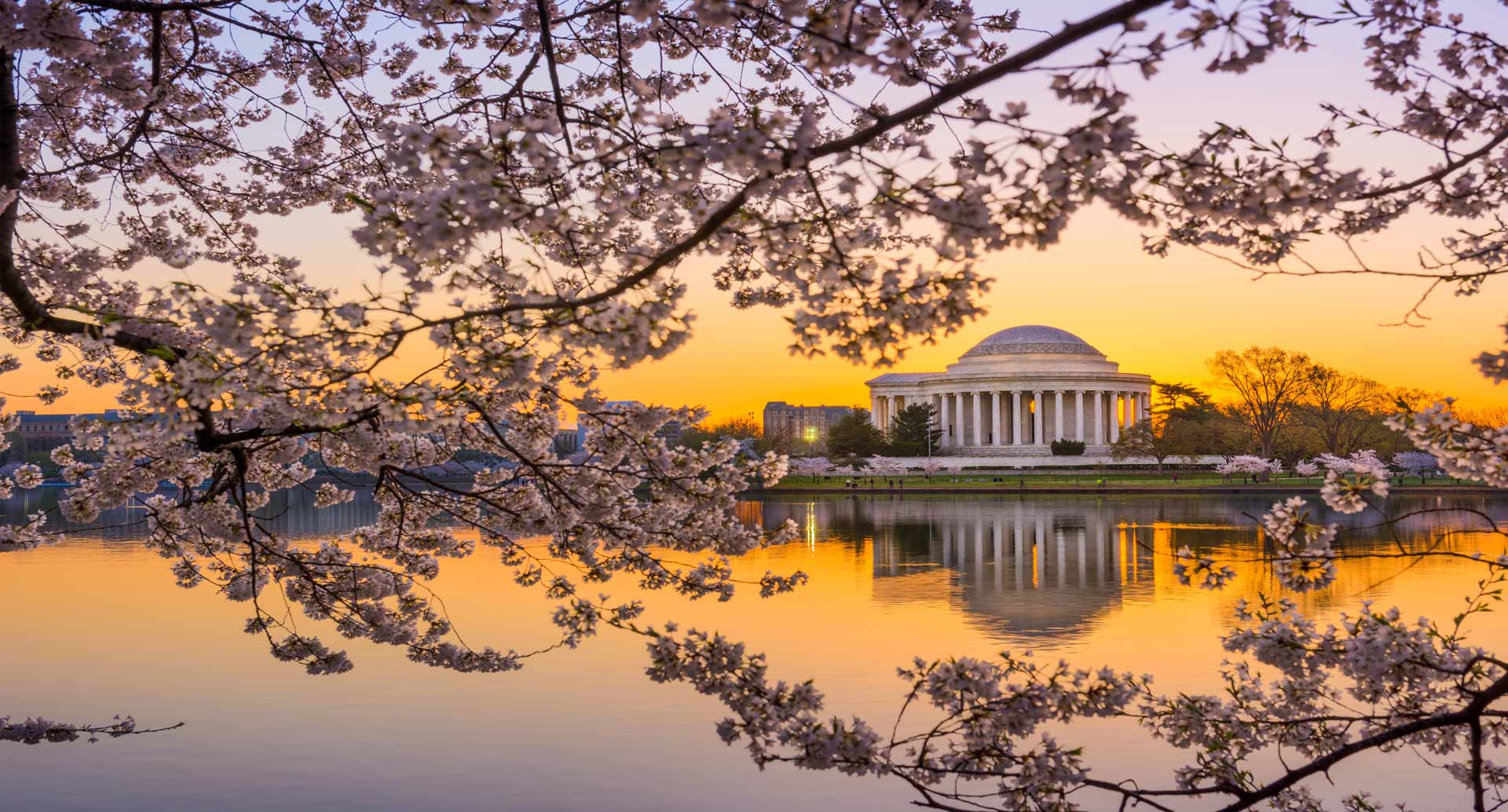 Washington DC Neu