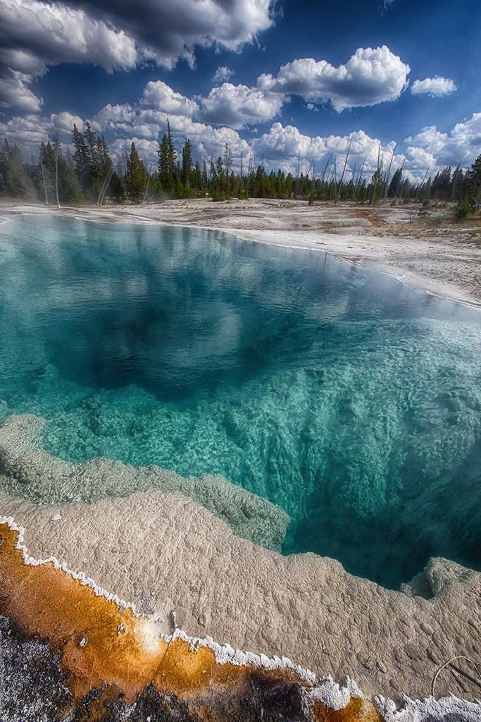 Yellowstone / Mammoth Hot Springs ( Inside Yellowstone national park)3