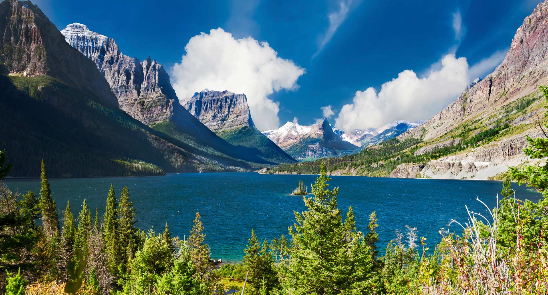 Montana Neu