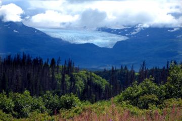 homer area 02