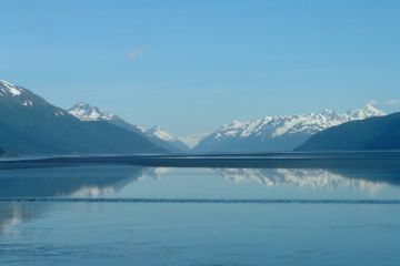 Kenai 06