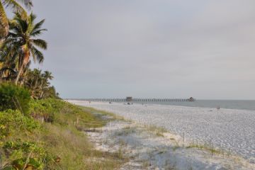 Naples Beach Pier in Background CVB Photo