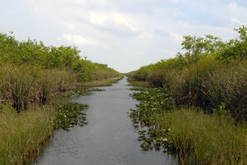 Everglades NP 03