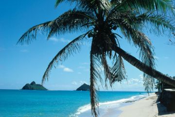 oahu03
