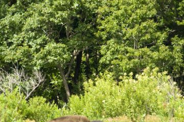 Wichita Mountains Wildlife Reserve Medicine Park OK