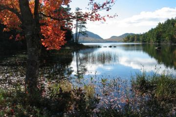 Acadia NP 03