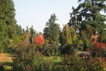 Portland Oregon 02