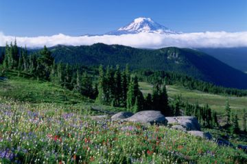 MtRainier JohnMarshall