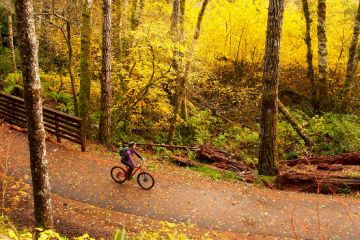 Olympic NP01
