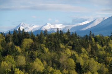 Olympic NP02