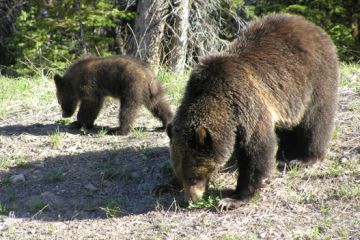 grand teton01