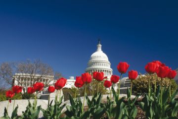 Washington DC Capitol 2