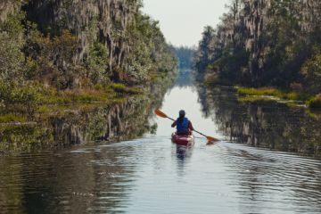 Okefenokee National Wildlife Refuge Folkston