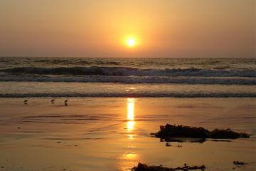 Los Angeles Beach Sunset