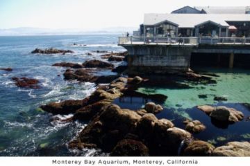 Monterey 02