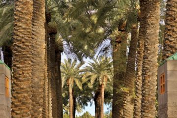 Scottsdale Resort Spa