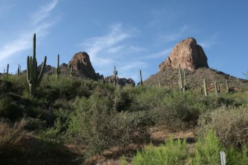 Scottsdale Wasserflugzeug Apache Trail 2