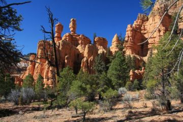 Bryce Canyon 03