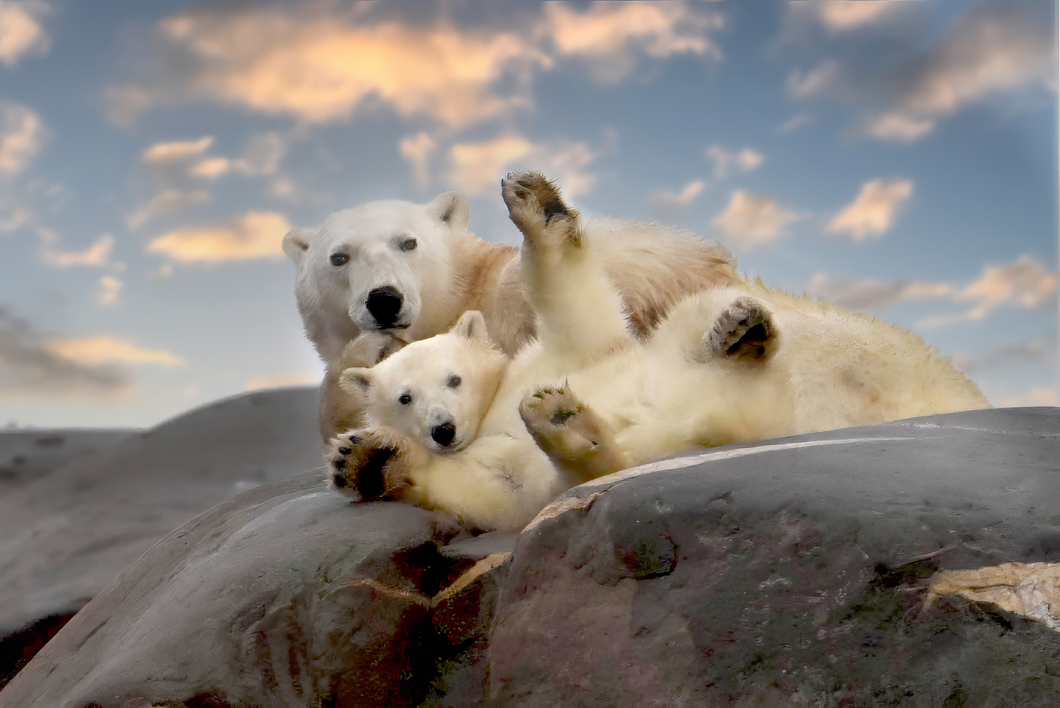 Natur- und Aktivreisen