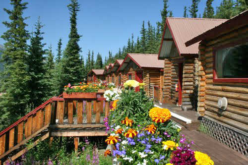 Denali / Crows Cabin 4