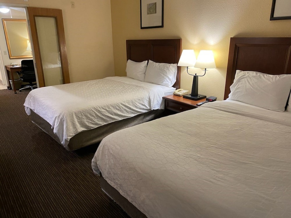 Phoenix/Holiday Inn Express & Suites Scottsdale2