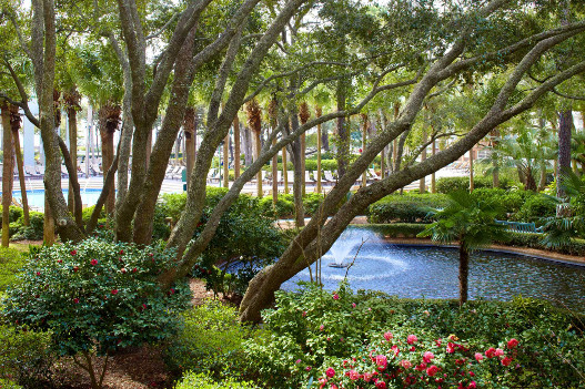 Grounds - Koi Pond