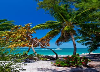 Tourweb-Fernweh-Angebote/USA/Florida-Fort-Zach--2014_2025