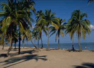 Tourweb-Fernweh-Angebote/USA/Städte/Florida/MIA