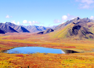 Tourweb-Fernweh-Angebote/USA/Alaska/DempsterHyw