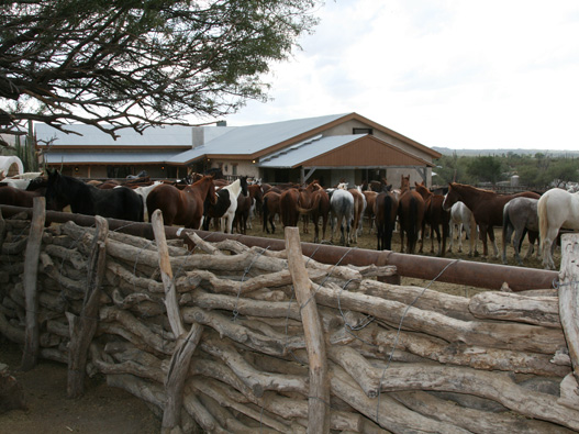 Tourweb-Fernweh-Angebote/USA/Tucson/TanqueVerdeRanch