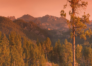 Tourweb-Fernweh-Angebote/USA/BlackHills