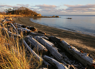 Tourweb-Fernweh-Angebote/Kanada/tofino/Kurzinfo