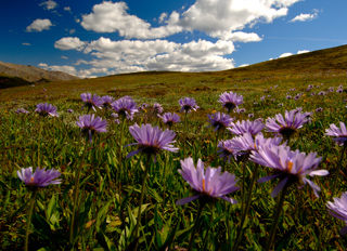 Tourweb-Fernweh-Angebote/Kanada/Revelstoke_Kurzinfo