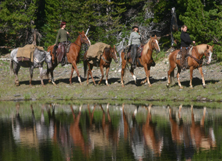 Tourweb-Fernweh-Angebote/Kanada/108MHouse_Kurzinfo