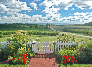 Tourweb-Fernweh-Angebote/USA/GreatLakes/TraverseWineyard