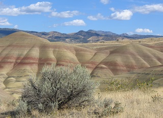 Tourweb-Fernweh-Angebote/USA/Arizona/Holbrook