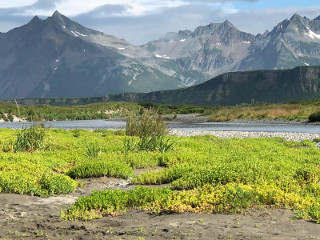 Tourweb-Fernweh-Angebote/Alaska/palmer-tok