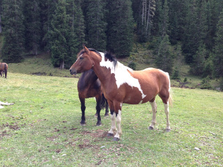 Tourweb-Fernweh-Angebote/USA/ FlamingGorge-Steamboat