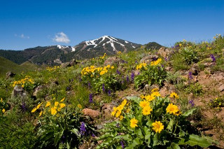 Tourweb-fernweh-angebote/usa/sunvalley