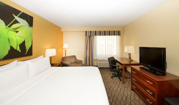 Hotel/Chicago/Holiday-Inn_Room
