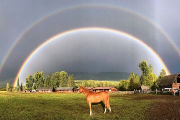 Clearwater - Wells Gray Ranch