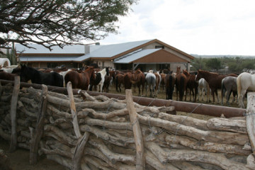 Tourweb-Fernweh-Angebote/USA/Tucson/TanqueVerdeRanch