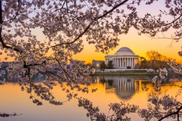 Tourweb-Fernweh-Angebote/USA/WashingtonCapitol1