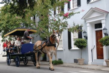 Tourweb-Fernweh-Angebote/USA/South-Carolina/Charleston