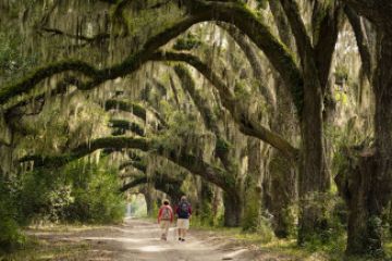 Tourweb-Fernweh-Angebote/USA/Georgia/DarkSky