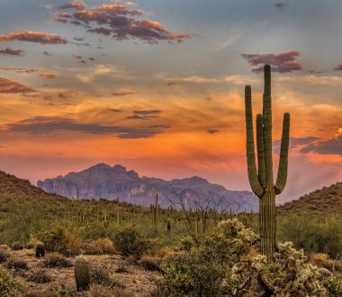 Arizona - Wüstenlandschaft istock