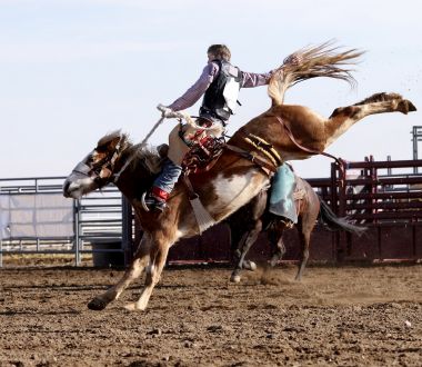 Wyoming - Cody