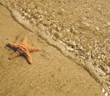 Tourweb-Fernweh-Angebote/USA/Shell-FtMy