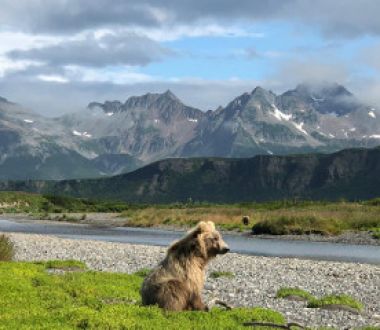 Tourweb-Fernweh-Angebote/Alaska/seward-homer