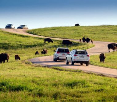 Tourweb-Fernweh-Angebote/USA/SouthDakota/Custer